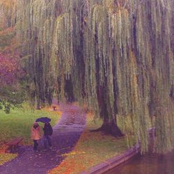 Full length of woman walking on footpath