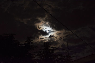Low angle view of silhouette trees against sky at night