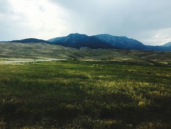 Scenic view of landscape against sky