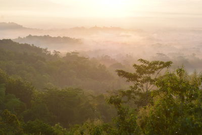 Punthuk setumbu, beautiful nature of magelang yogyakarta from menoreh hills