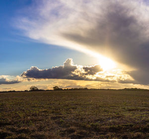 Scenic view of field against sky during sunset