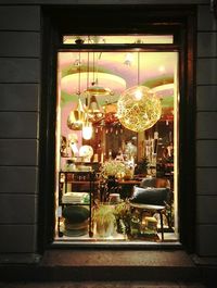 Potted plants in the dark