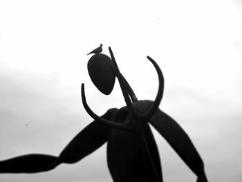 Close-up of horse against sky