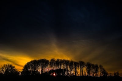 Silhouette trees against sky at night