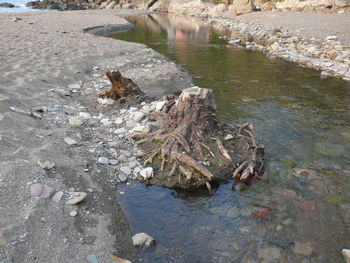 Reflection of rocks in water