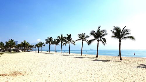 Palm trees on beach against clear sky