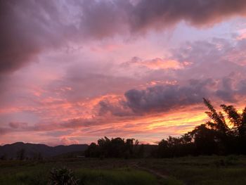 Silhouette trees on field against romantic sky at sunset