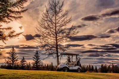 Bare trees on field against cloudy sky