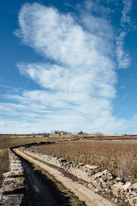 View of dirt road passing through field against sky