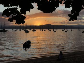 Silhouette trees by sea against sky during sunset