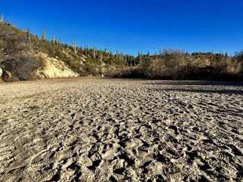 Scenic view of beach against clear blue sky