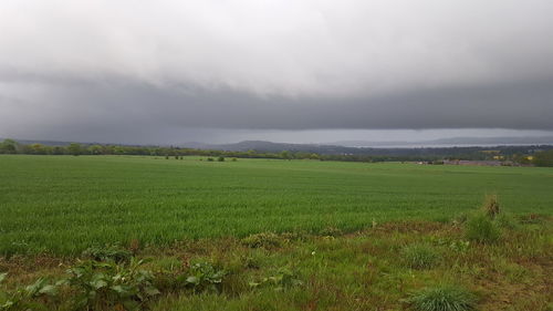 Scenic view of field against sky