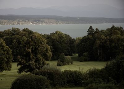 Scenic view of field by lake against sky