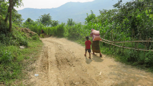Rear view of people walking on road amidst trees