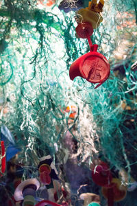 Close-up of christmas decorations hanging on tree