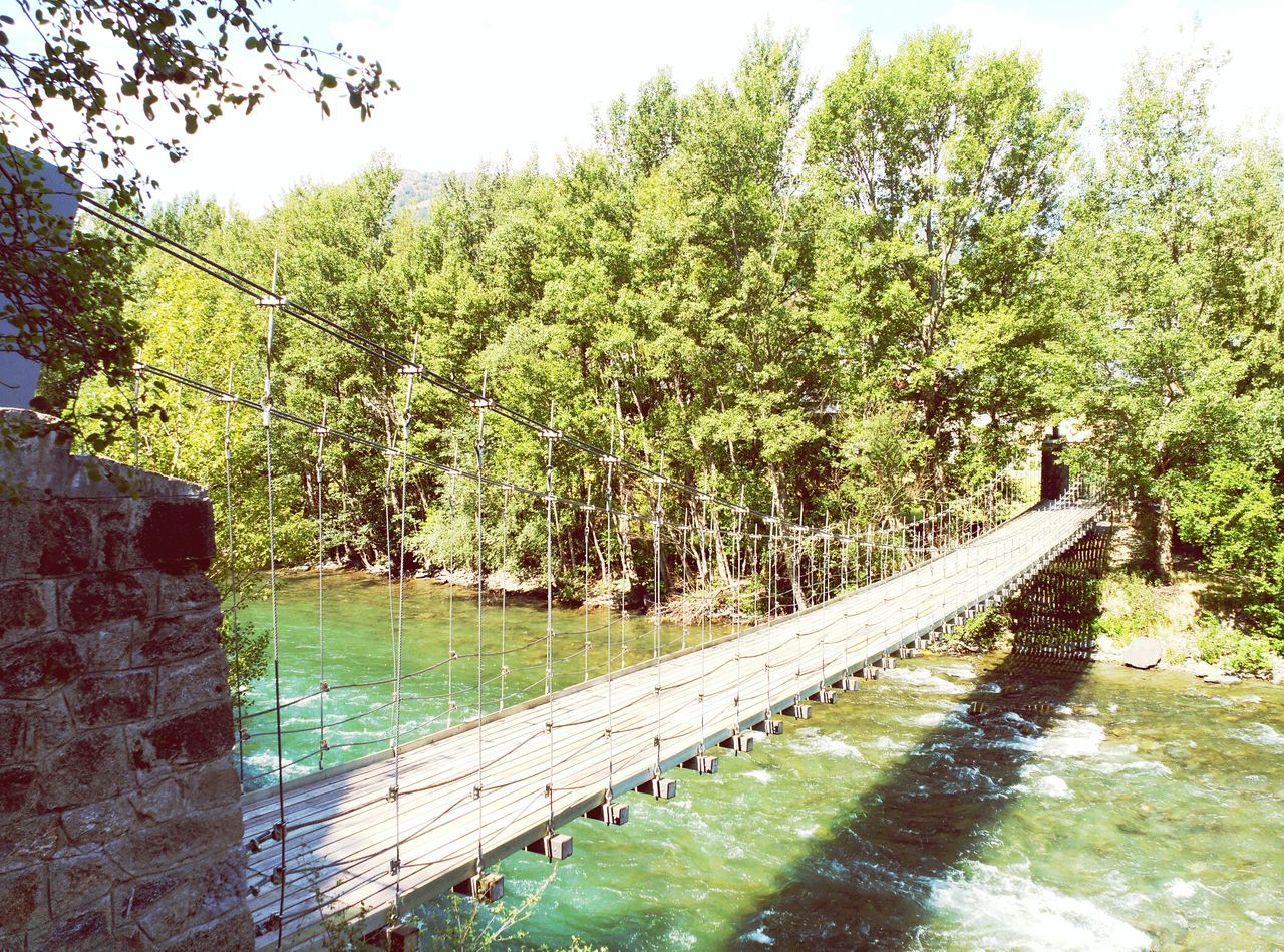 tree, green color, water, growth, tranquility, nature, tranquil scene, beauty in nature, railing, connection, scenics, bridge - man made structure, plant, river, day, green, branch, outdoors, footbridge, lush foliage