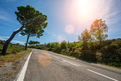 Road amidst trees against sky