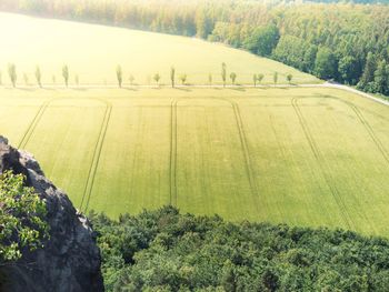High angle view of trees on land