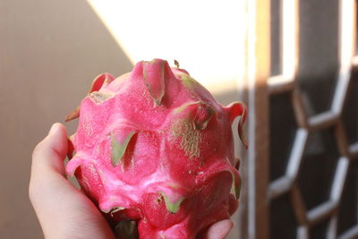 Close-up of hand holding strawberry