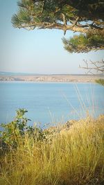 Scenic view of sea against clear sky