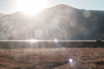 Sunlight streaming through plants on field against bright sun