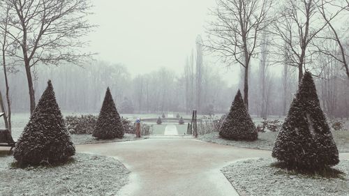 Panoramic shot of trees on snow covered landscape