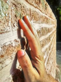 Close-up of cropped hand