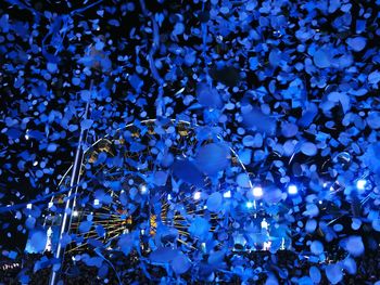 Low angle view of trees against blue sky