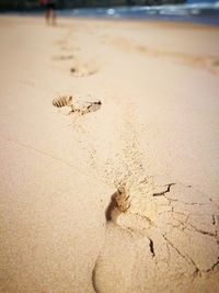 High angle view of footprints on sand at beach