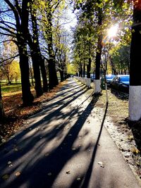 View of empty road in forest