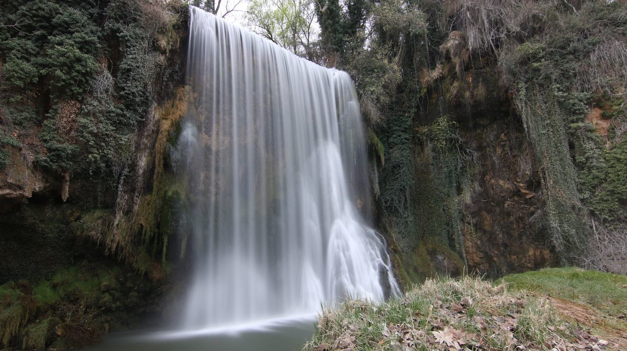 WATERFALL IN FOREST