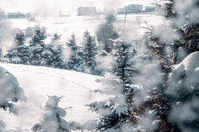 Snow covered landscape