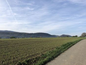 Scenic view of agricultural field against sky