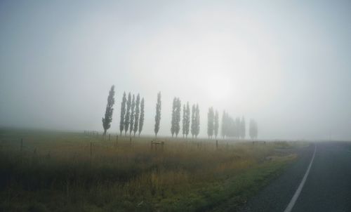 Scenic view of landscape against clear sky