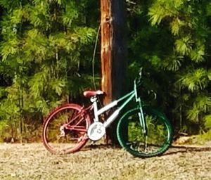 Bicycle parked by tree