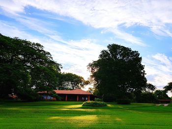 Trees and houses on field against sky