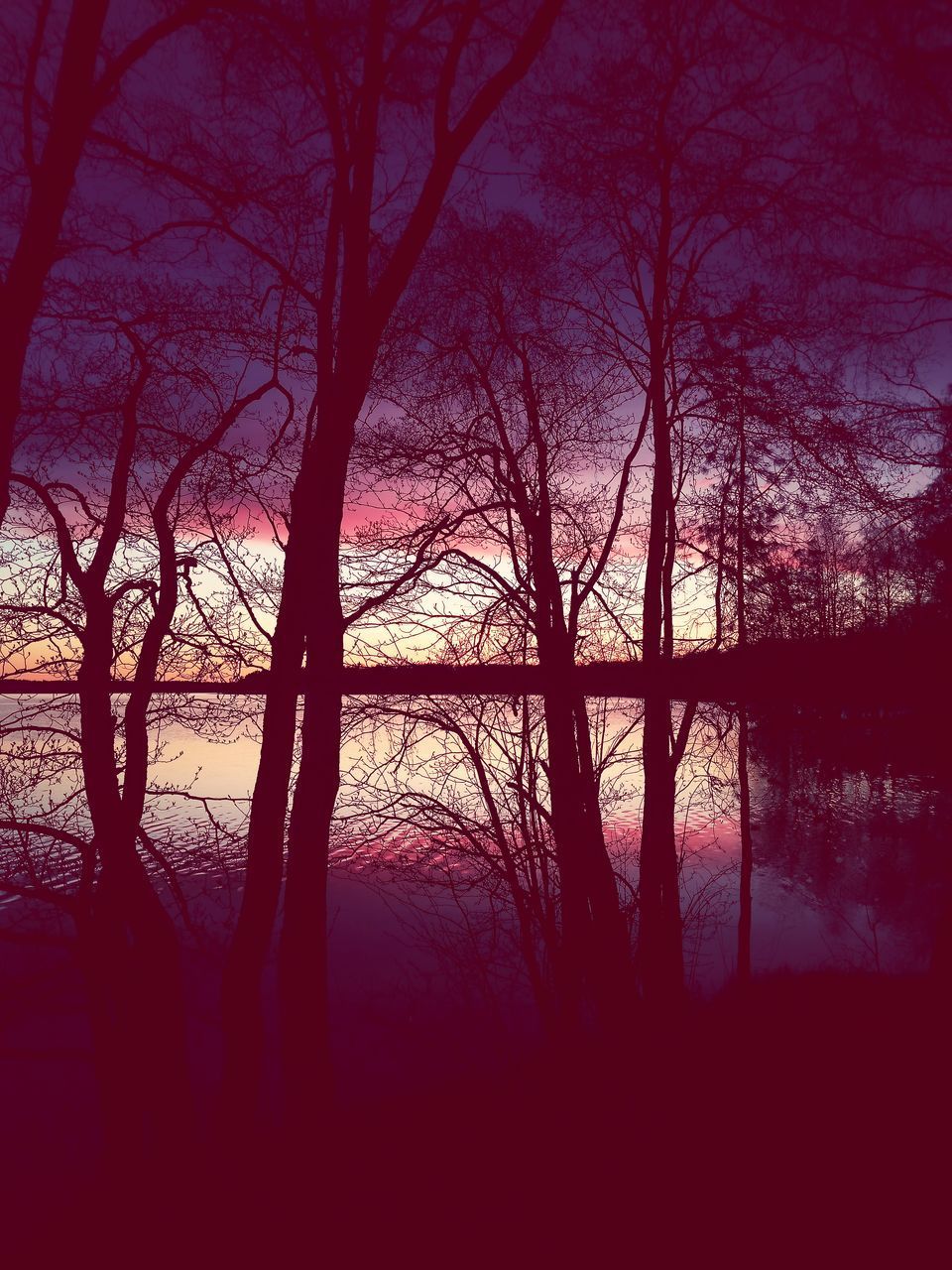 SILHOUETTE BARE TREES BY LAKE IN FOREST AGAINST SKY