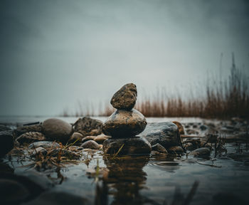 Close-up of rock by lake