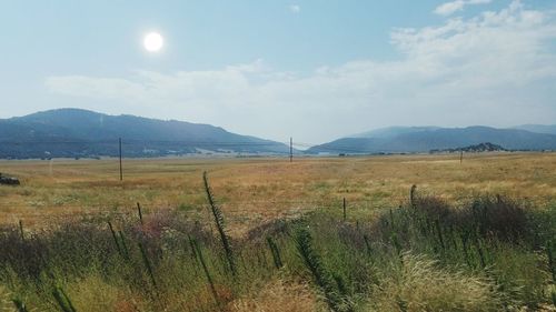 Scenic view of field against sky