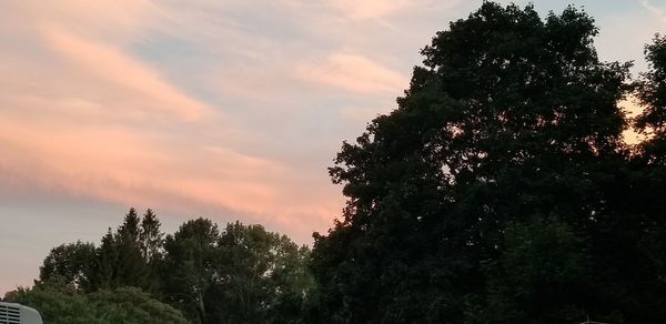 Low angle view of silhouette trees against sky during sunset