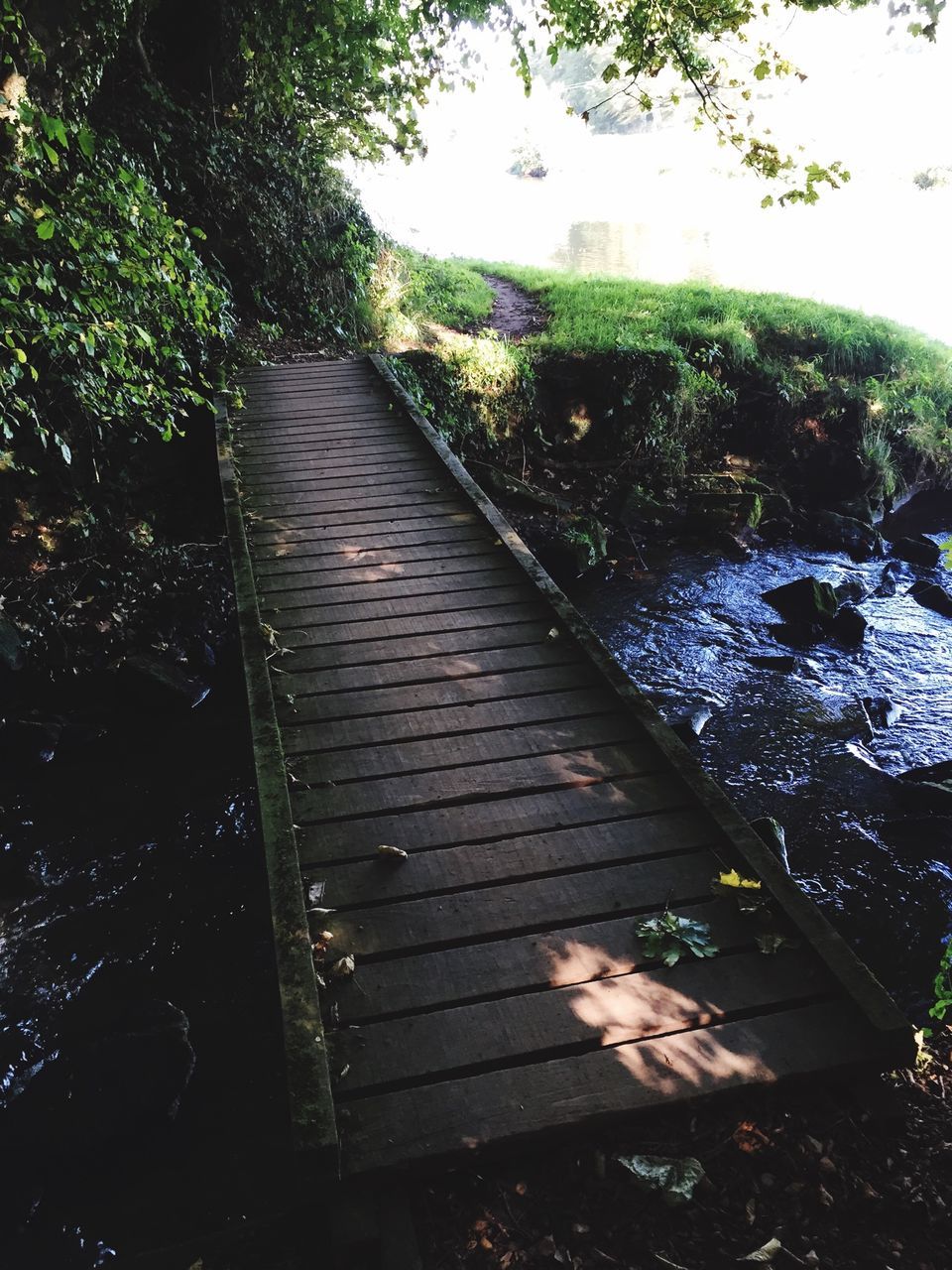 tree, railing, steps, plant, growth, high angle view, wood - material, steps and staircases, nature, day, sunlight, built structure, outdoors, park - man made space, staircase, no people, green color, the way forward, footbridge, architecture