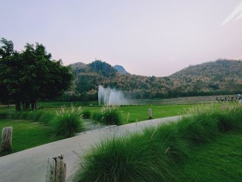 Scenic view of landscape against clear sky