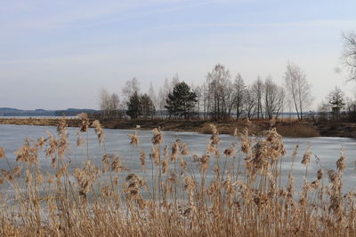 Scenic view of lake against sky