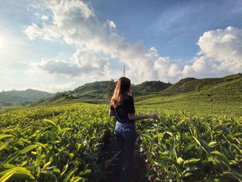 Alone in the tea garden