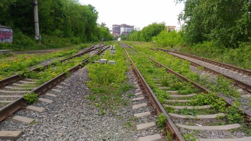 Railroad tracks in park