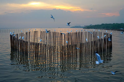 Scenic view of sea against sky during sunset