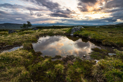 Scenic view of grassy field against cloudy sky during sunset