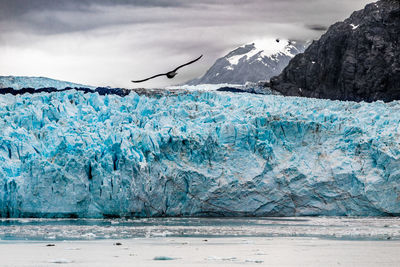 Glacier views at glacier bay nationalpark, alaska.