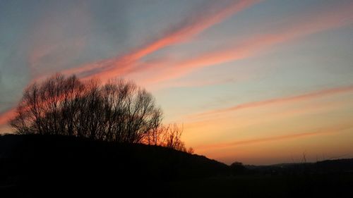 Silhouette of trees at sunset