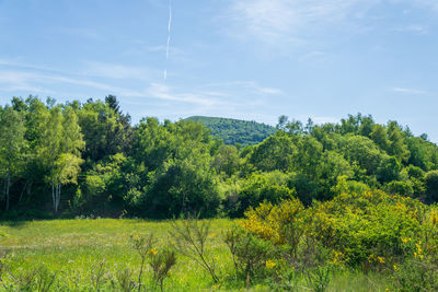 View from the puy-des-goules volcano hiking trail